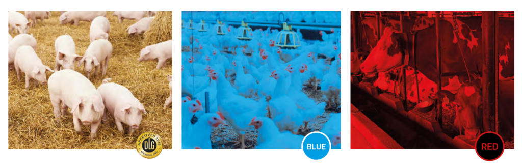 Iluminat pentru creșterea animalelor